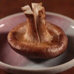 肉厚香菇 (1個)