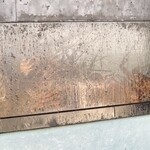 活魚料理 びんび家 - 