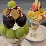 アロー ツリー - 