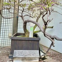 近松 - 