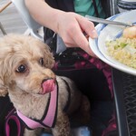 Wan Ding Ki Karuizawa Psp Ten - 