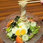 あじよし - サラダうどん(税込780円)
            輪切り茹で卵、トマト、レタス、スライス紫玉葱、胡瓜、かいわれ大根、若布、和風胡麻ダレです
            自家製饂飩は加水が多くモニュッとして、コシというか伸びるというか独特な食感でした