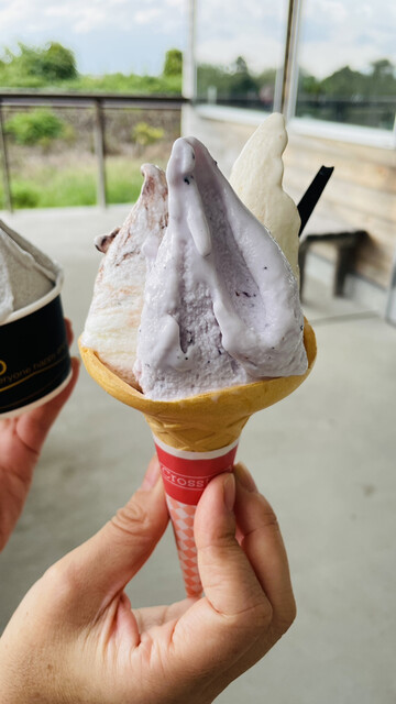 そそ ソリッソ （Sorriso） - 田上/ジェラート・アイスクリーム | 食べログ