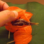 京懐石 吉泉 - 稚鮎だったり