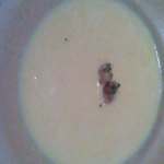 とんかつ ますいや - ますいや　シェフの気まぐれスープ　日替わり