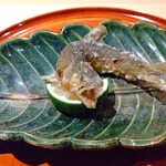 銀座 しのはら - 落ち鮎　内蔵が最高に美味しい！