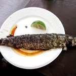 いまcafé - 香ばしく焼かれた美味しいサンマ！(2013,10/06)