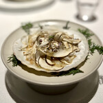 レフェルヴェソンス - 