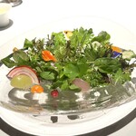 レフェルヴェソンス - 