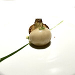 レフェルヴェソンス - 