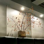 レフェルヴェソンス - 