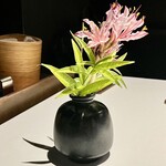 レフェルヴェソンス - 