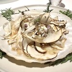 レフェルヴェソンス - 