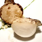 レフェルヴェソンス - 