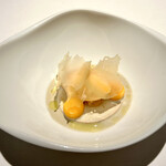 レフェルヴェソンス - 