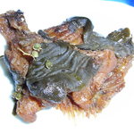 みずうみ - なまずの煮付け