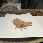 みかわ 是山居 - 