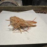 みかわ 是山居 - 