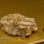 Yokohama Sushi Fukuju - あぶり最高♪北海赤海老