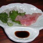 みずうみ - なまずの刺身
