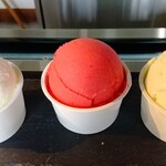 無添加 那須ジェラート - 塩、木苺、さるなし