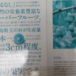 無添加 那須ジェラート - さるなしの説明