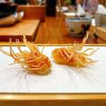 Tempura Miyashiro - 