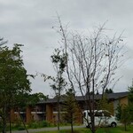 The Prince Karuizawa