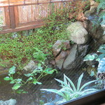 Jasu min - 窓から見える小庭に泳ぐ白メダカ