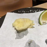 天婦羅割烹 すみ - 新イカ(甲イカ)