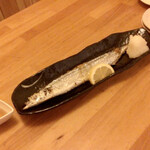 Uoichiba Komatsu - 秋刀魚さん