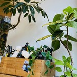 トラットリアイルポッツォ - 