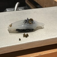 麻布 黒しゃり - 