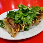 中華食堂 餃子軒 - パクチー餃子