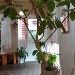 川のほとりの美術館 - 