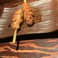 鳥ばか一代 - 