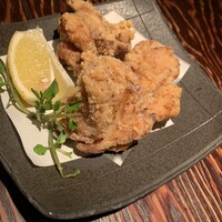 鳥ばか一代 - 