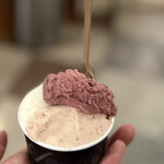 GELATERIA ACQUOLINA - 