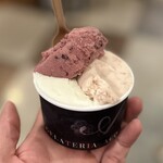 GELATERIA ACQUOLINA - ピオーネ、フレッシュミルク、いちじく