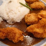 カレーハウス JIB - 2023年5月　チキンカツカレー（250g）　2200円