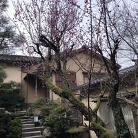 山乃尾 - 