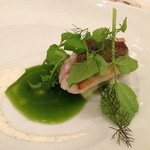 アコルドゥ - イサギときゅうり　貝のクリーム　フェンネルと青りんご