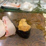 Tachiguizushi Sushitsune - 