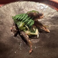 愚直に - 