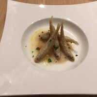 SCALAE - 