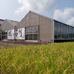 根ッ子うどん - 