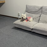 ダイニングキッチン アオヤマ - 