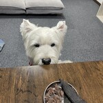 ダイニングキッチン アオヤマ - 