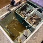 むさし 尾頭橋店 - 