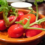 ミニヨンTOKYO - ラディッシュとトマト
